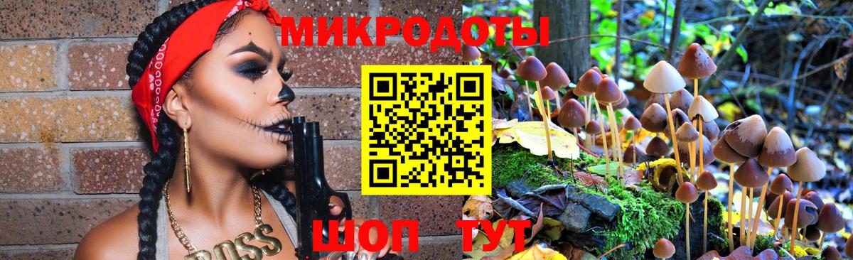 Псилоцибиновые грибы мицелий  Вход с VPN  Псилоцибиновые грибы Cubensis  Елец 