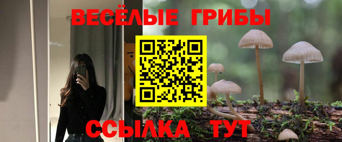 Галлюциногенные грибы MAGIC MUSHROOMS Елец